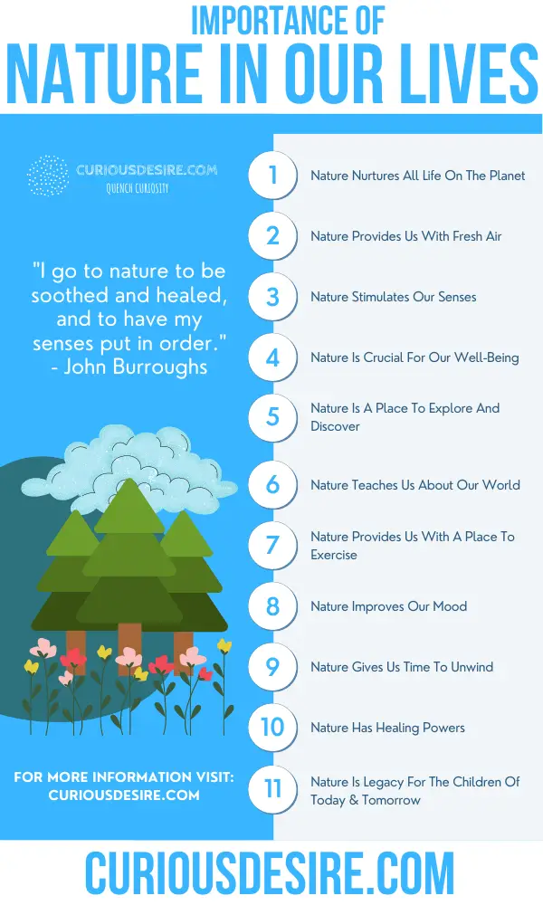 15 Reasons Why Nature Is Important Curious Desire