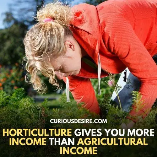  Why Horticulture Is Important?