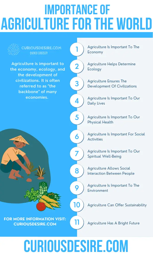 Why Agriculture Is Important