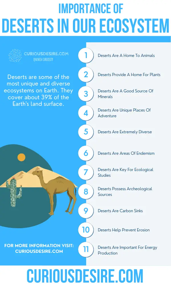 Why Deserts Are Important - Significance In Ecosystem