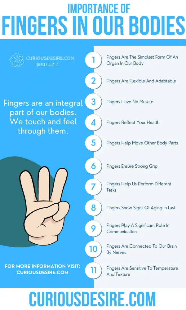 Why Fingers Are Important - Benefits And Significance