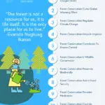 Why Forest Conservation Is Important- Benefits and Significance