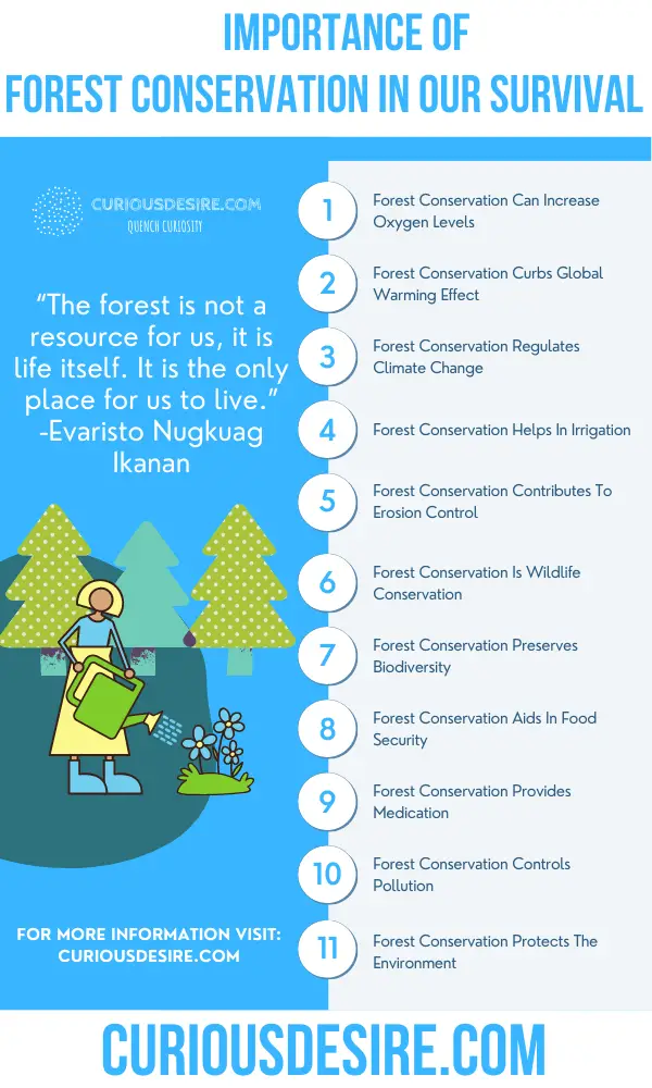 Why Forest Conservation Is Important- Benefits and Significance