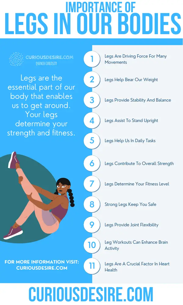 Why Legs Are Important - Significance And Benefits