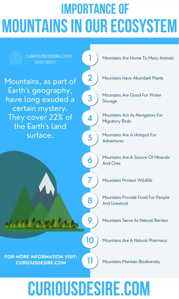 write an essay on the importance of mountains