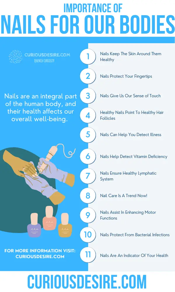 Why Nails Are Important - Benefits And Significance