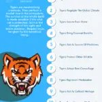 Why Tigers Are Important