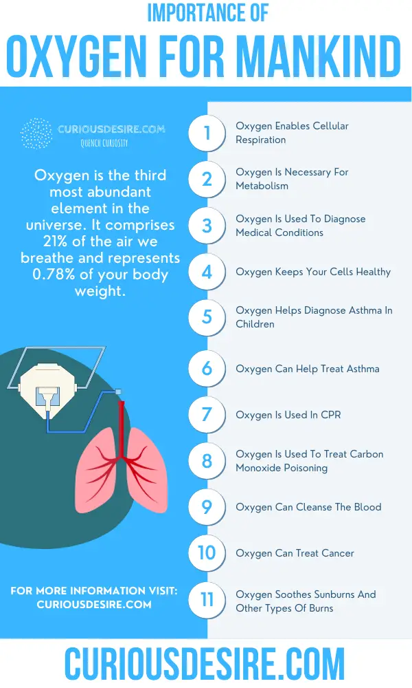 why oxygen is important