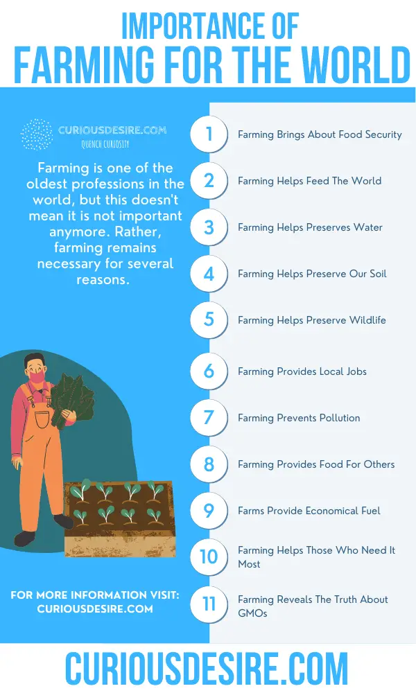 Why Farming Is Important