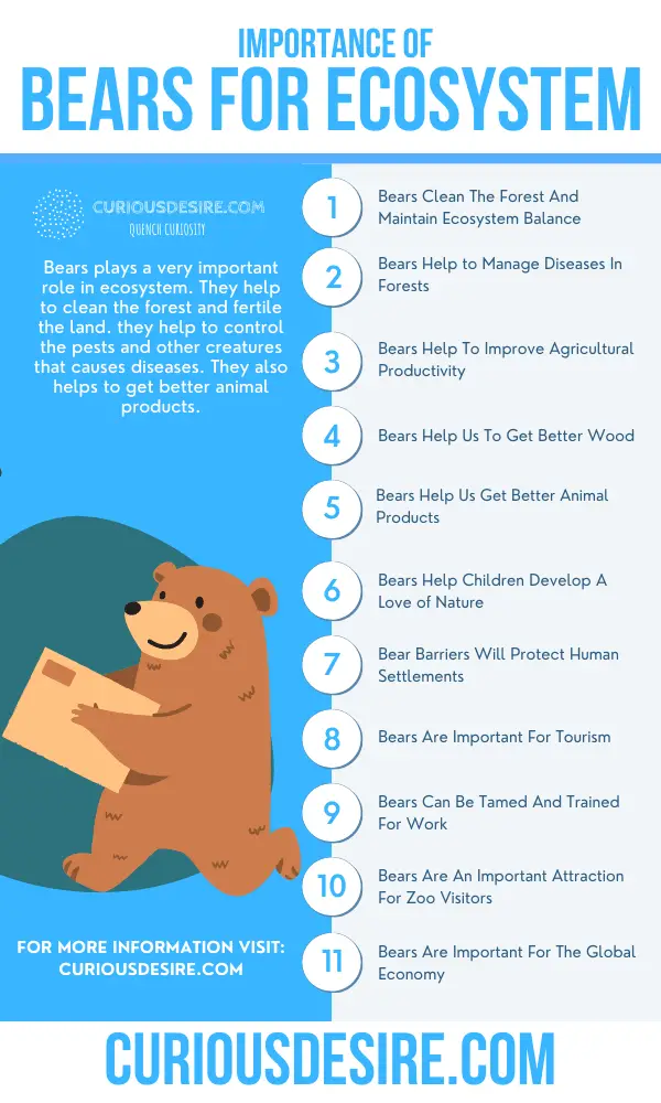 Why Bears Are Important