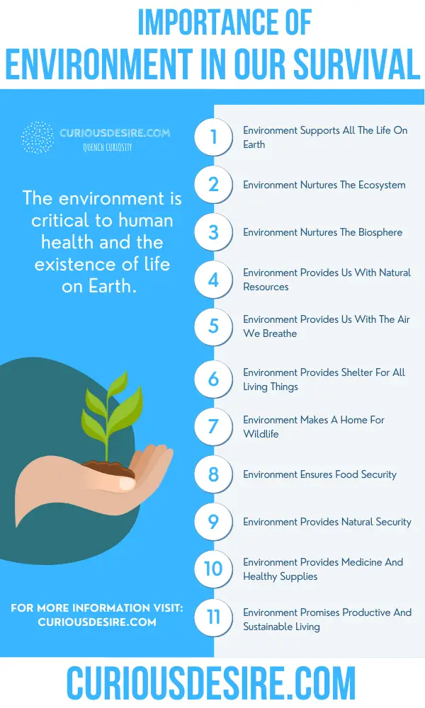 What is the importance of environment 5?