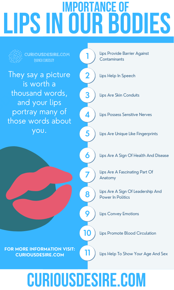 Why Lips Are Important - Significance And Benefits