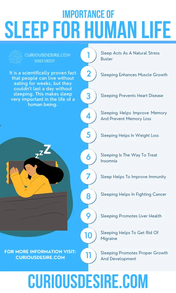 15 Reasons Why Sleep Is Important 