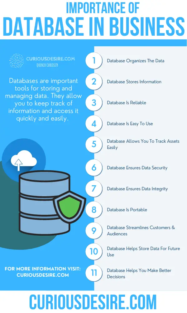 15 Reasons Why Database Is Important Curious Desire