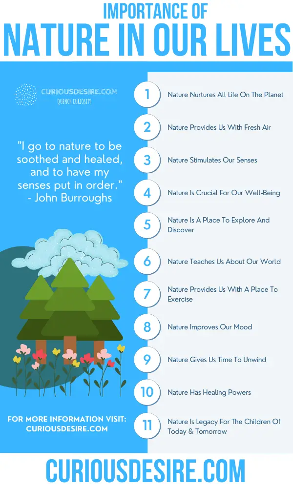 15 Reasons Why Nature Is Important - Curious Desire