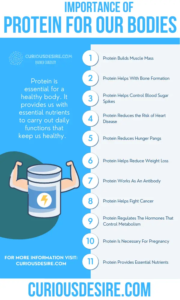 Why Protein Is Important - Significance And Benefits