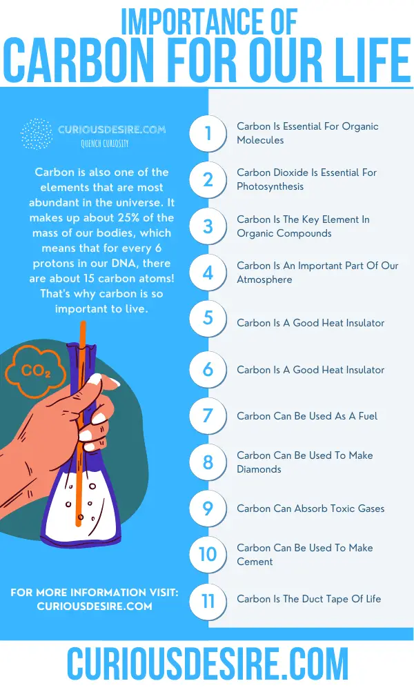 What Is The Importance Of Carbon To Life