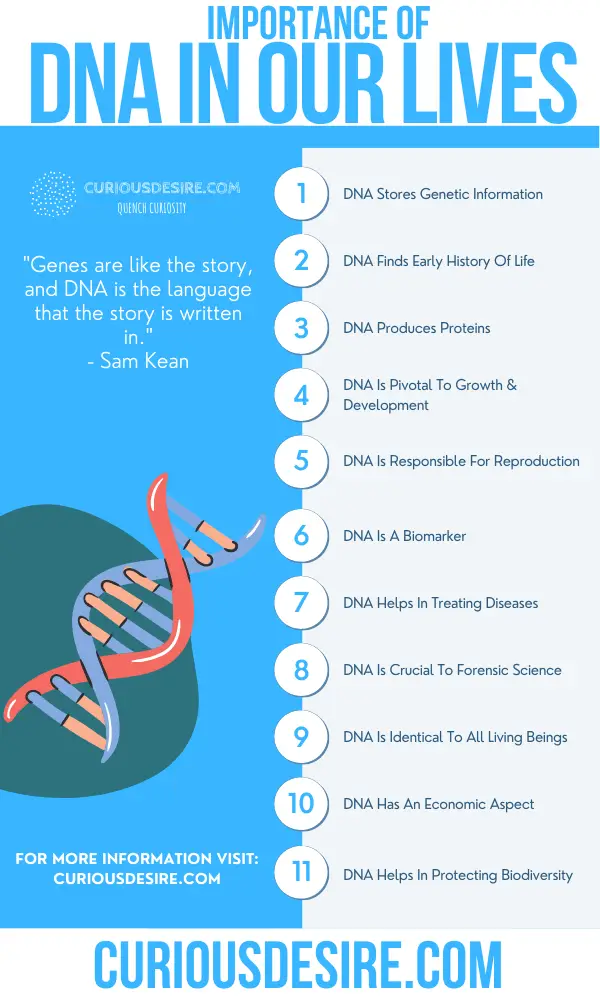 Why DNA Is Important - Significance And Benefits