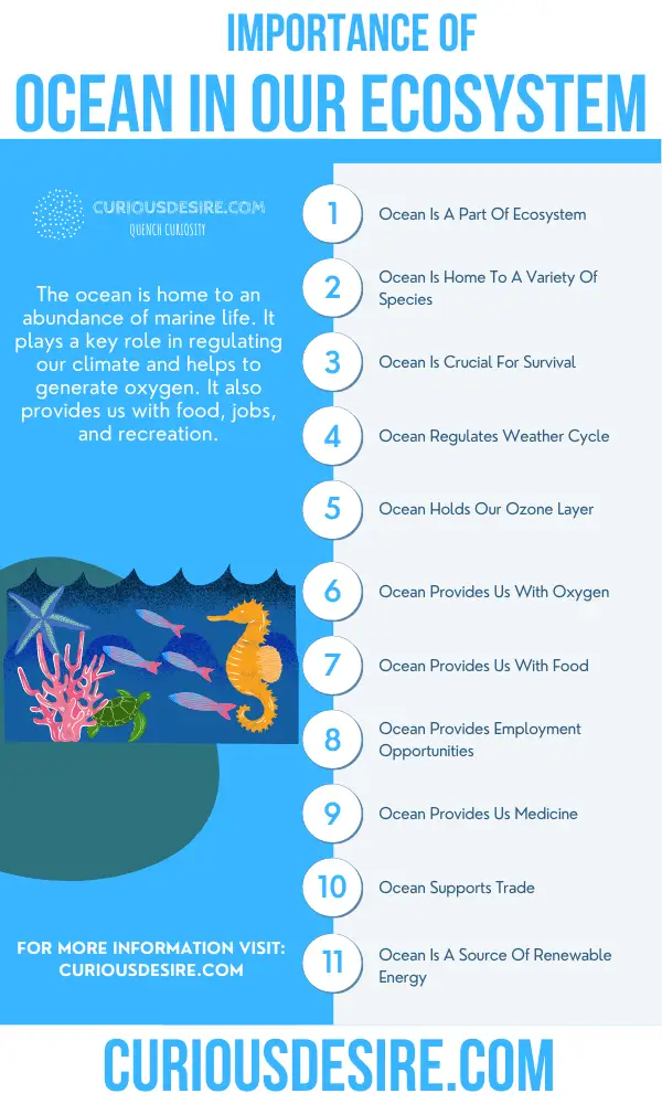 Why The Ocean Is Important - Significance And Benefits