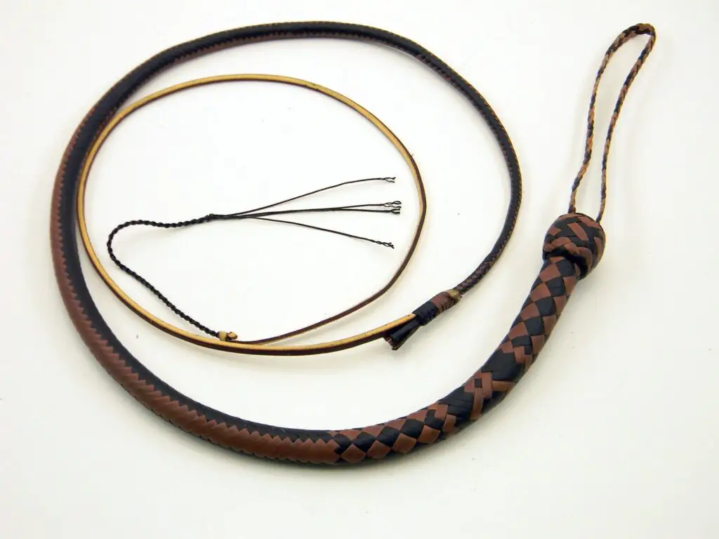 Types Of Horsewhips