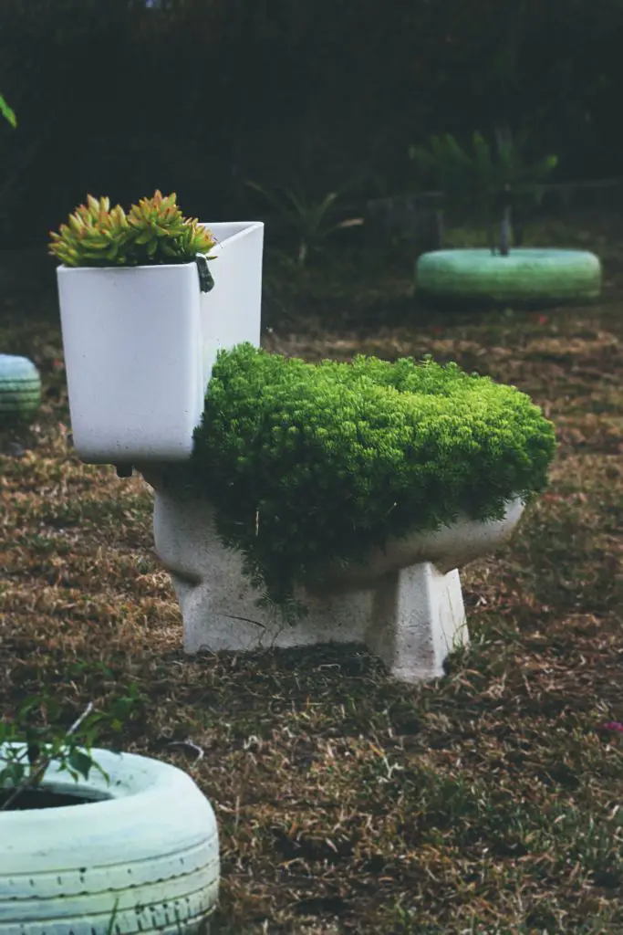 toilet bowl filled with plants