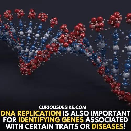 Disease identification - why is dna replication important