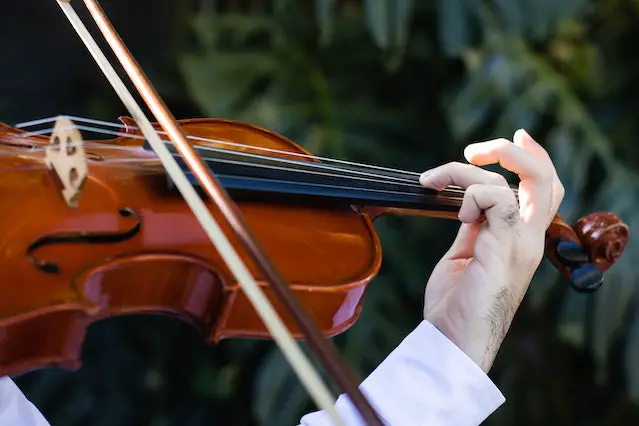 Violin is a constant companion in music