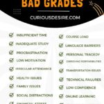 Excuses For Bad Grades – A Step By Step Guide