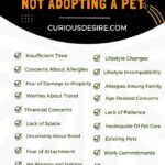 Excuses For Not Adopting A Pet [Unique Guide]