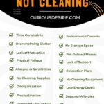 Excuses For Not Cleaning – Easy Solutions
