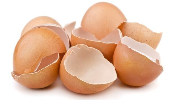 Brown egg shells against white background