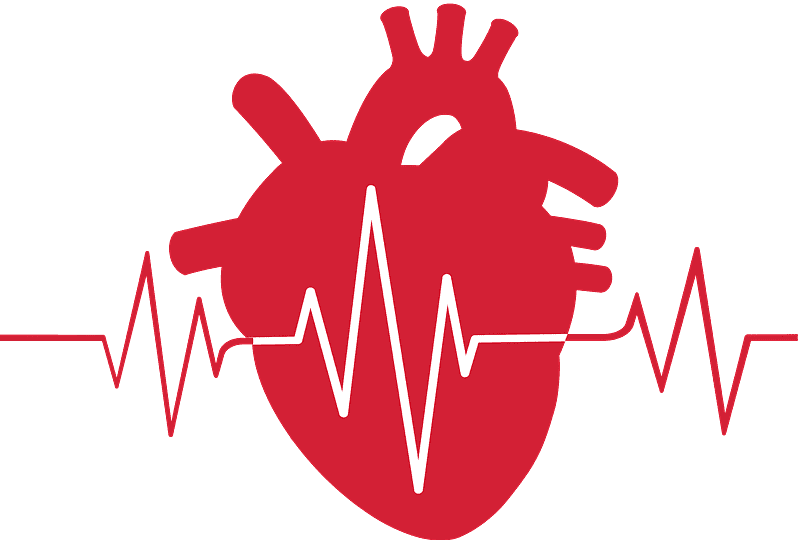A heart with a lifeline above it