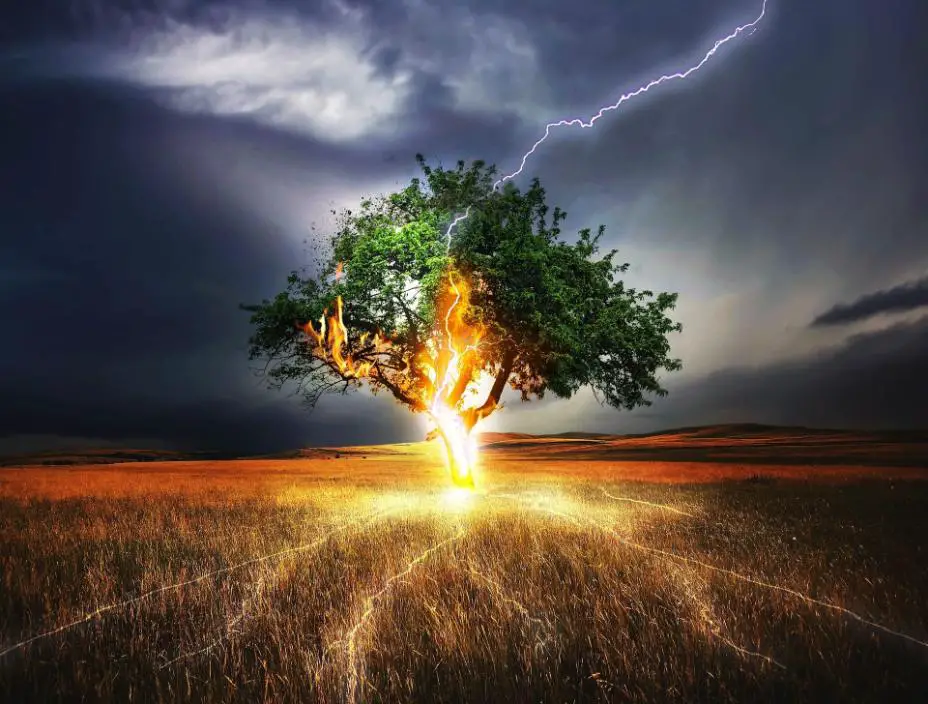 Lightning striking a green tree standing along on a vast ground