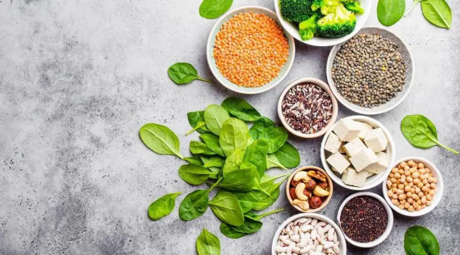 Various vegan food items against silver grey bg