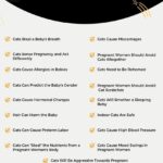 Myths About Cats And Pregnancy - Infographic