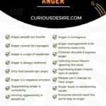 Infographics - Myths About Anger