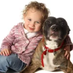 A cute little girl with a pit bull