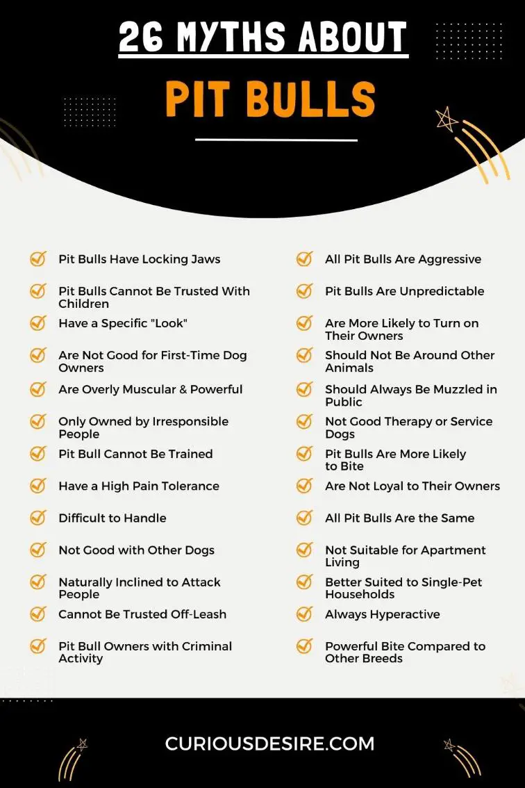 Myths About Pit Bulls - Infographic