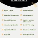 Benefits Of Sandalwood Incense -Infographic