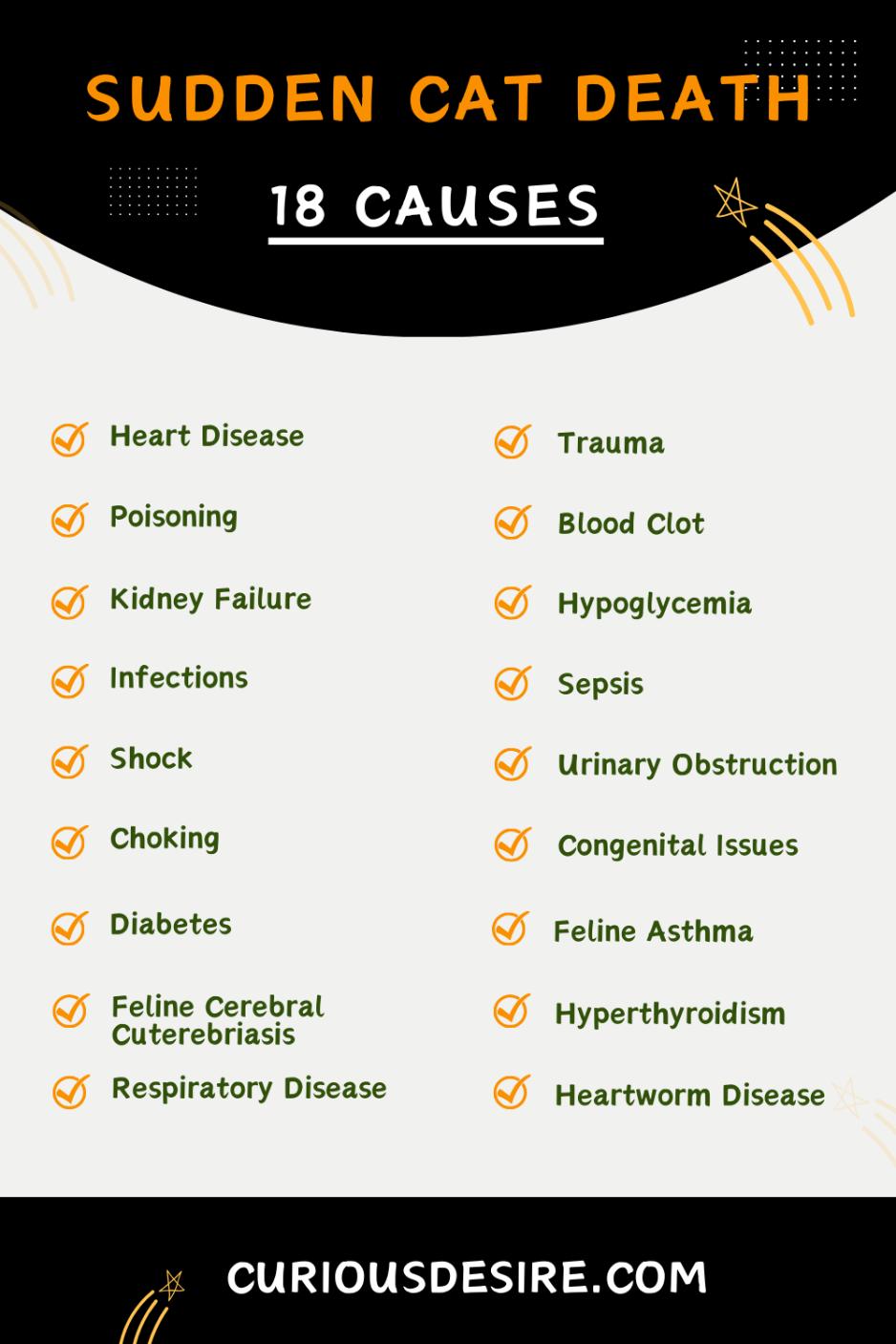 Causes Of Sudden Cat Death - Infographic