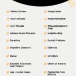 Causes Of Weight Loss In Dogs - Infographic