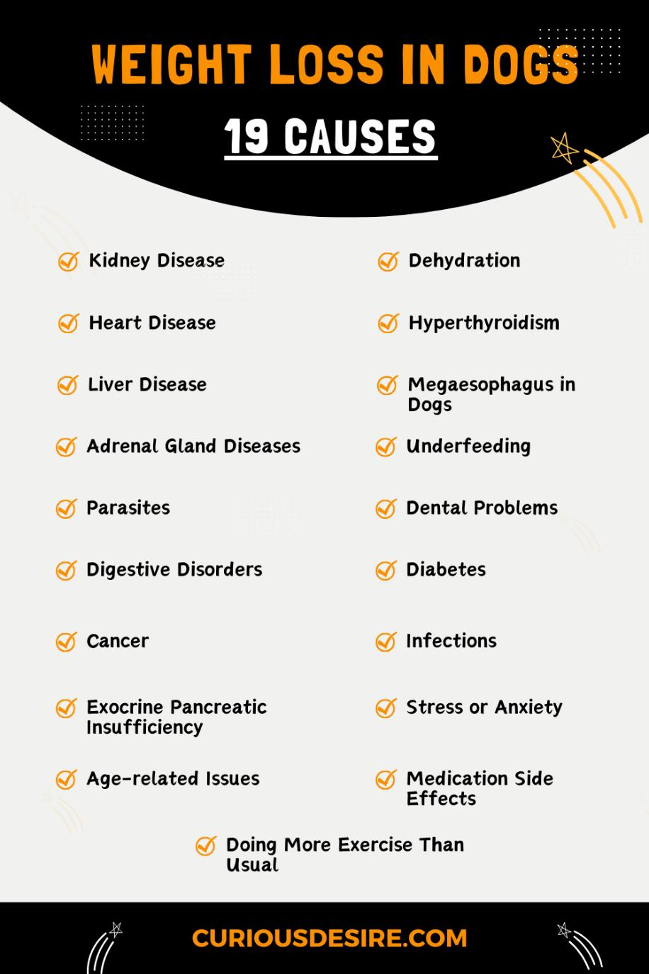 Causes Of Weight Loss In Dogs - Infographic
