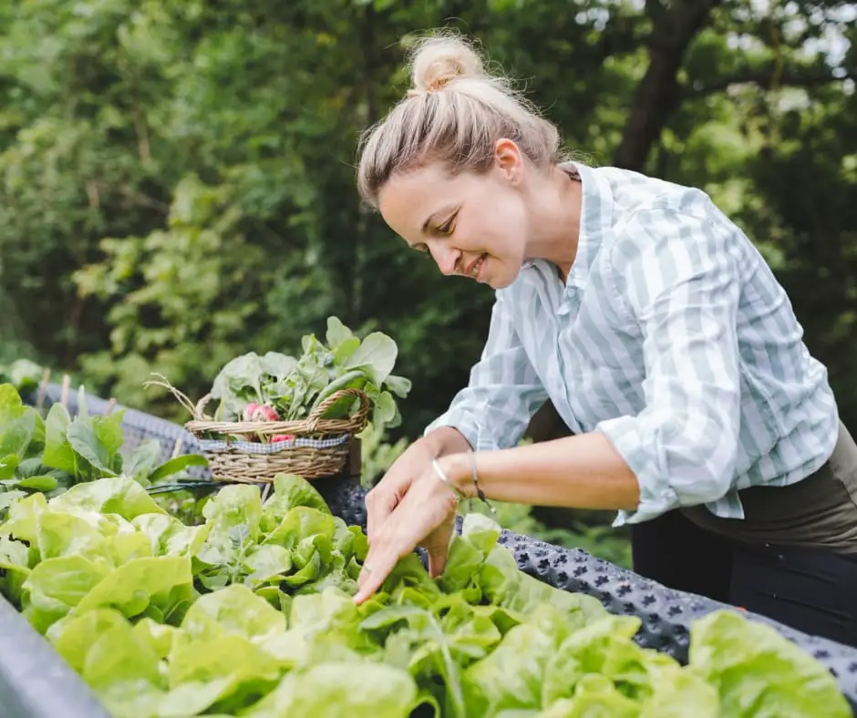 Happy Woman Working in a Raised Garden Bed