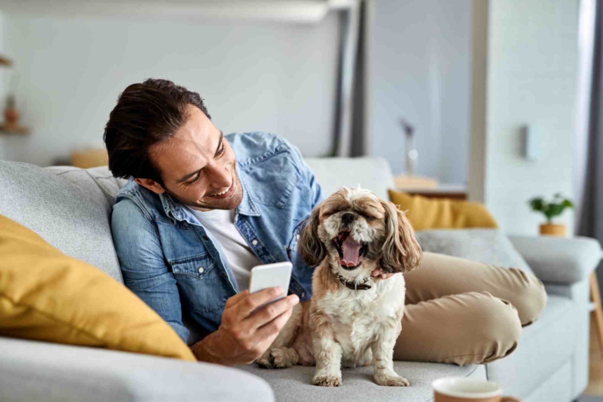 A person siting on a sofa with his pet dog who's yawning