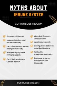 Myths About Immune System