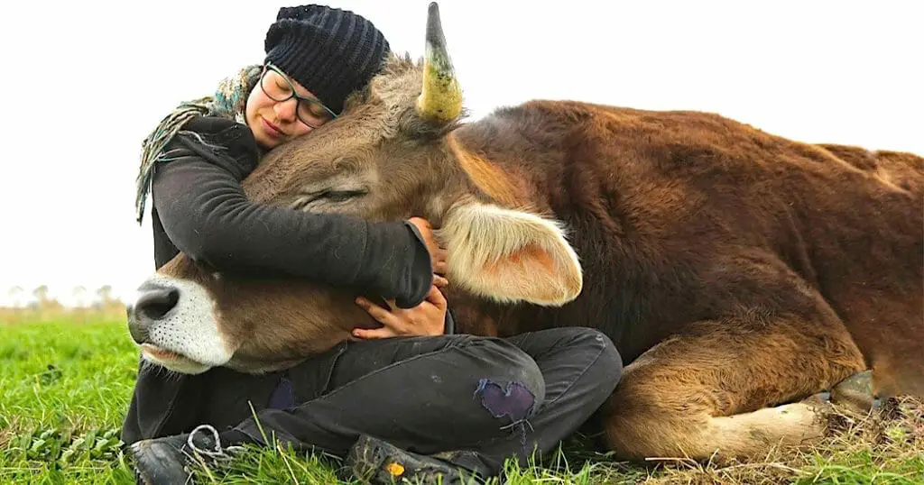 A woman cuddling a cow while sitting on grass