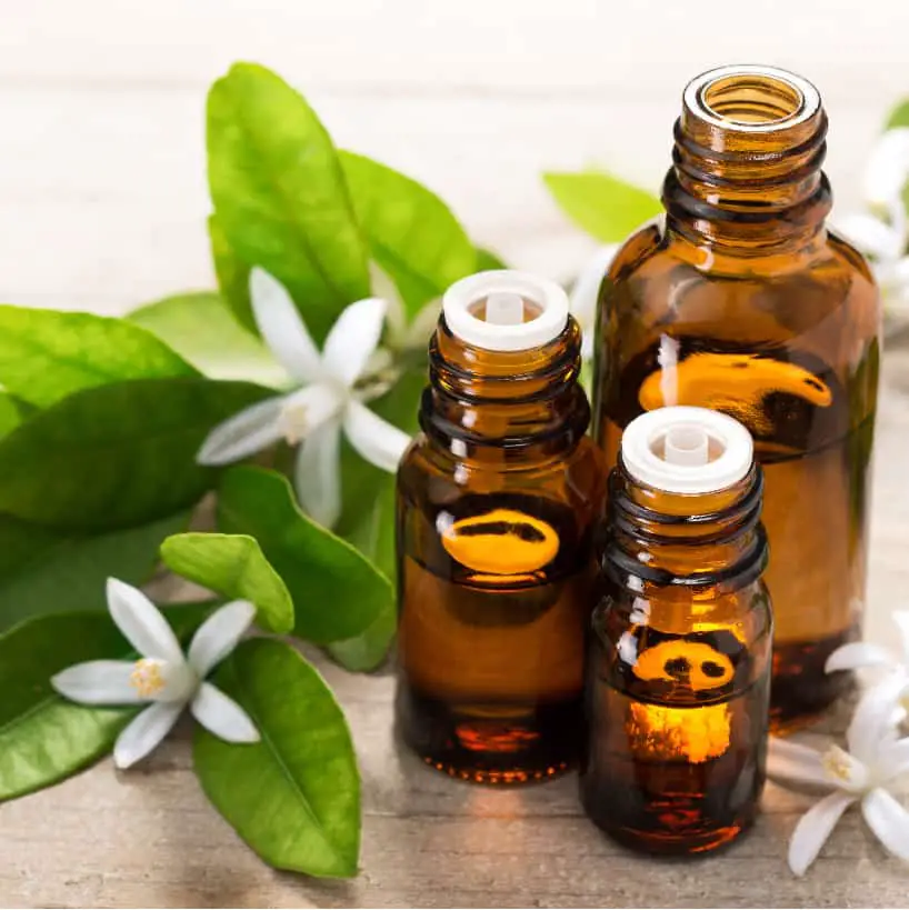 3 bottles of oil placed along the flowers and leaves