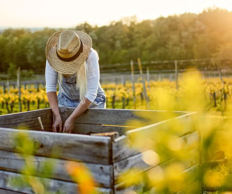 Woman with hat working in Raised Garden