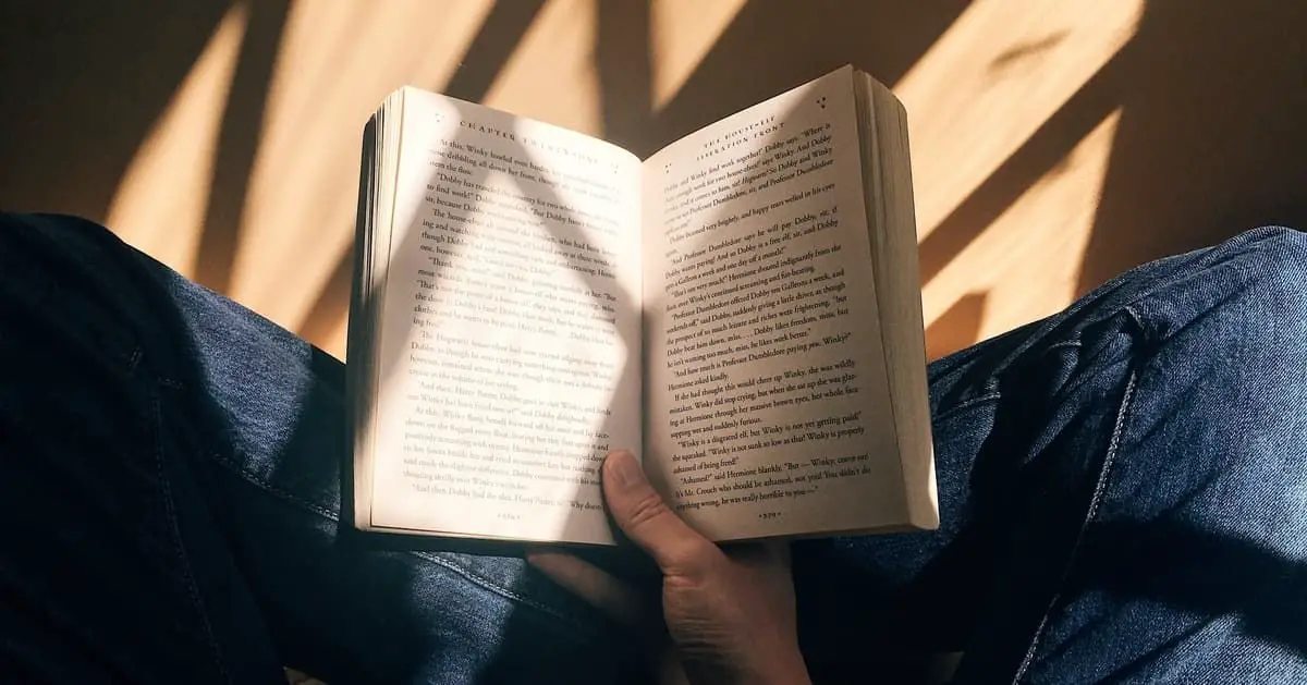 A girl holds an opened book on her lap, basking in the warm glow of sunlight.