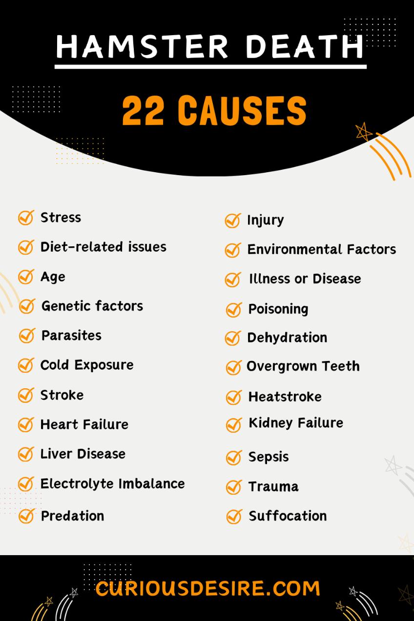 Causes Of Hamster Death - Infographic
